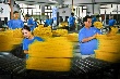 Công nghiệp cao su: Những thách thức mới 
